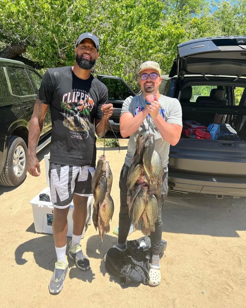 动地展示了 动地展示了