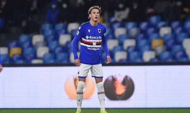 多关于佩德 多关于佩德